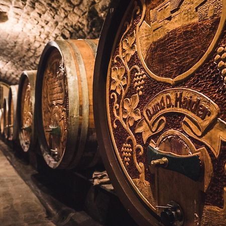 Weingut Gaestehaus D&D Haider ヨイス エクステリア 写真
