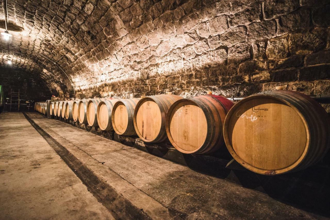 Weingut Gaestehaus D&D Haider ヨイス エクステリア 写真