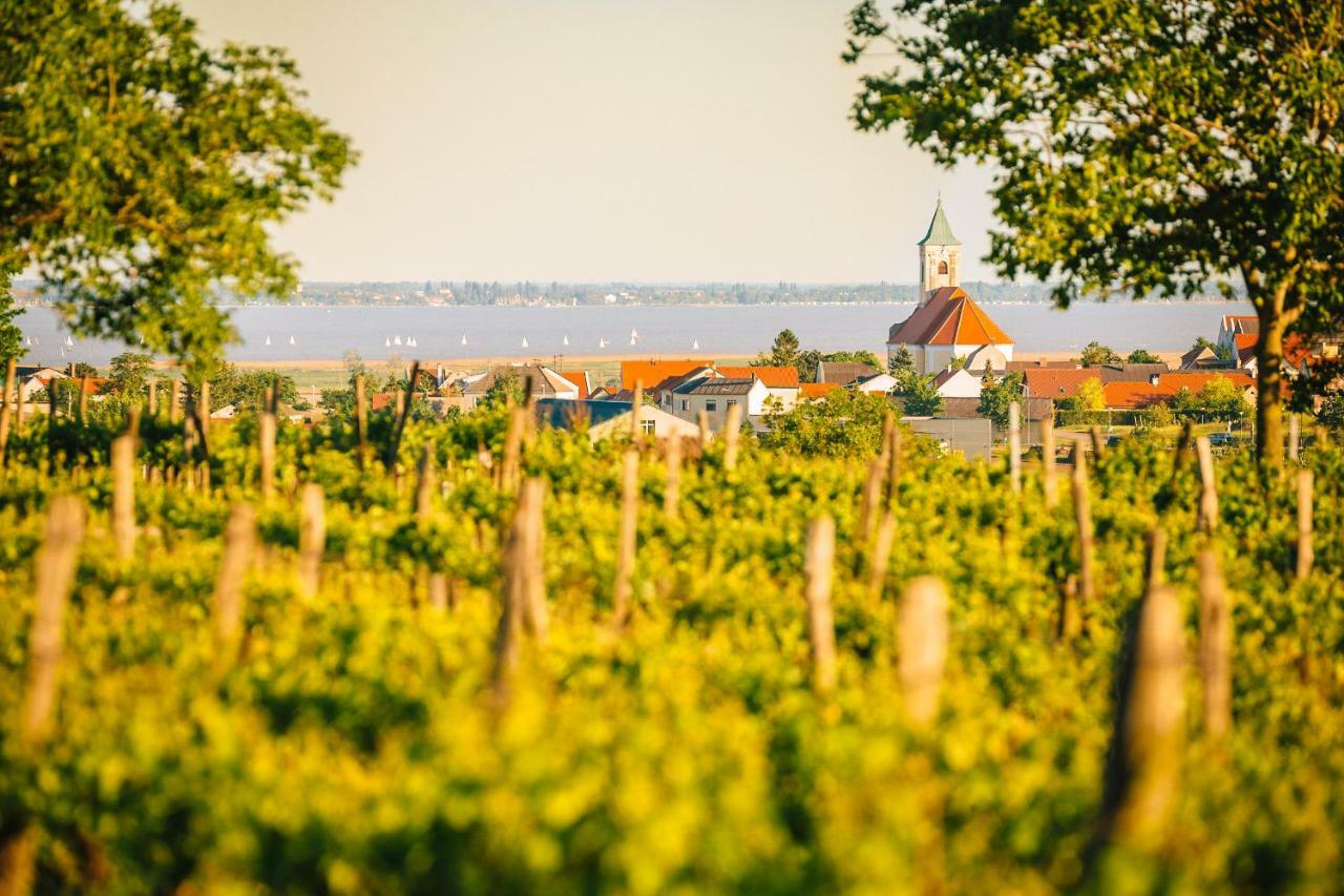 Weingut Gaestehaus D&D Haider ヨイス エクステリア 写真